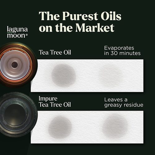 Laguna Moon Organic Essential Oils Set - Top 20 (10 ml for each)