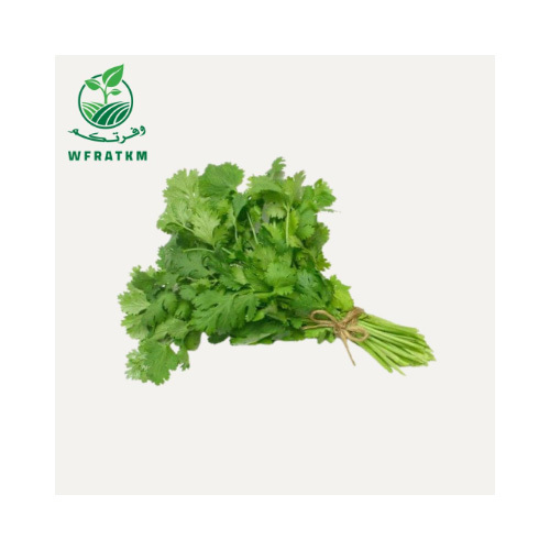 coriander 1 Bunch