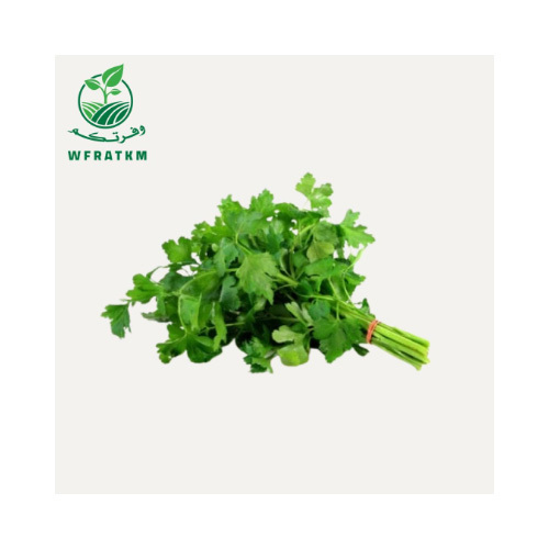 parsley 1 Bunch