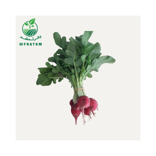 Red Radish 1 Bunch