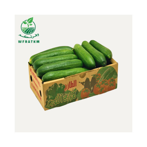 Kuwaiti Cucumber Carton