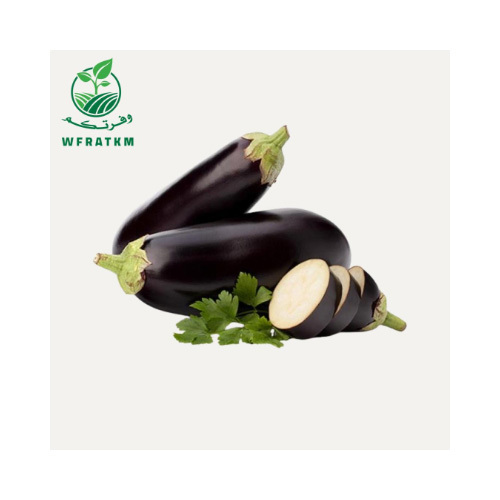 Eggplant 1 Kilo