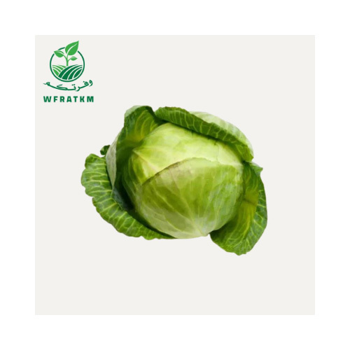 cabbage