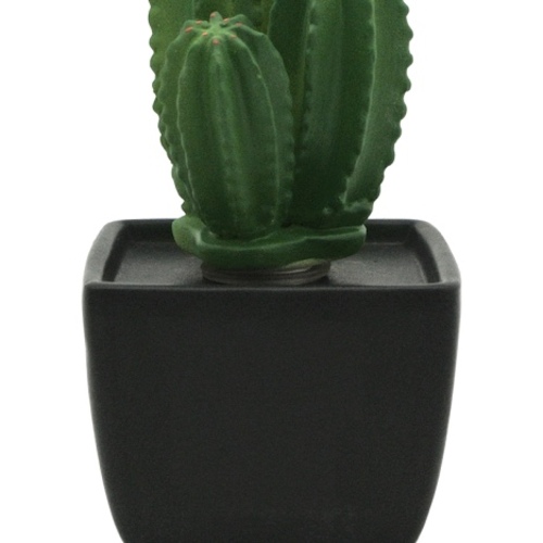 TRI Ceramic Cactus Diffuser