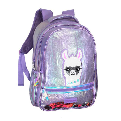 School Bag - School Bag Size: 17