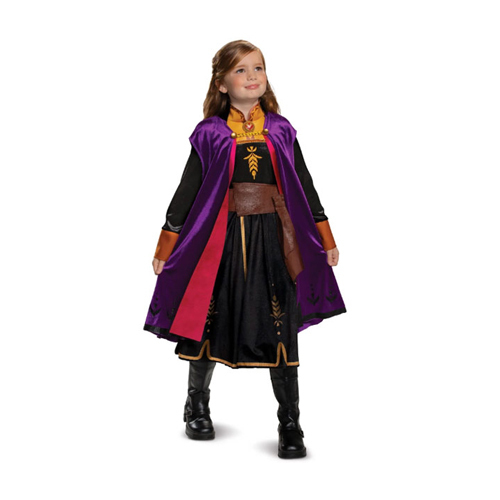 COS5/Anna costume - Princess anna dress and robe