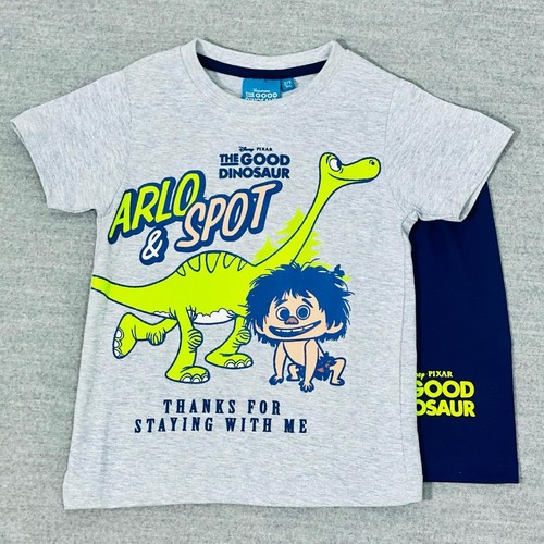 TGD13A/KIDS PAJAMA - GOOD DINOSAUR BOYS SHORT SET