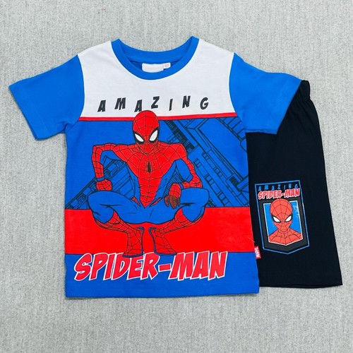 SPM-910/AMAZING SPIDER-MAN - AMAZING SPIDER-MAN