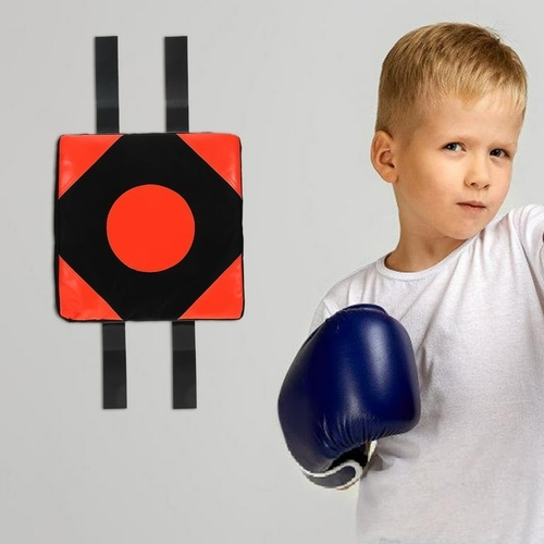 BOXING WALL-VS2261