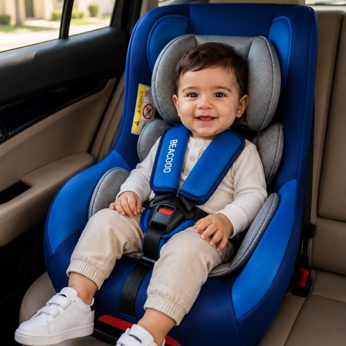 BABY CAR SEAT-HK24181