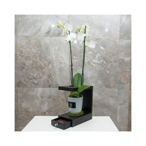 Black Simplicity - This black wooden basket contains orchid plant with Belgian chocolates.
 Height: 80cm  Width: 20cm  Sell by: Quantity