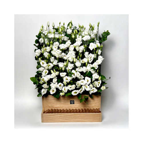 Eustoma - This wooden basket contains white eustoma flowers with green leaves. Comes with Belgian chocolates.
 Height: 35cm  Width: 60cm  Sell by: Quantity