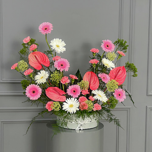 Barbie - Glass white vase with pink gerbera, white gerbera, pink carnation, pink anthurium and greens greens   
 Hight 60  Width 70