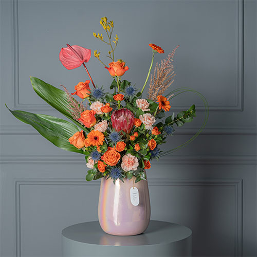 Jodi - Pink Glass vase contain pink anthurium, red protea, orange gerbera, orange rose and baby rose. 
 Height 75 Width 52