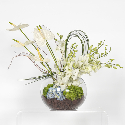 Tasi - Round glass vase contains blue hydrangea, green hydrangea, white anthurium and white baby orchid. price will change depend on quantity order