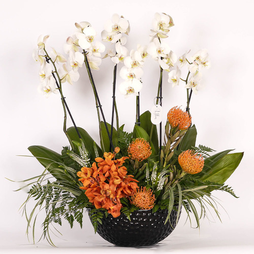 Naranja - Black ceramic vase contains white orchid, orange baby orchid and orange nutans.  Height 83 Width 63