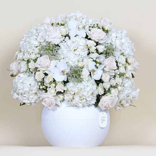 Lamar - White vase contains white Hydrangea, white orchid, white rose, white baby rose and white hypericum. Height 64 Width 54