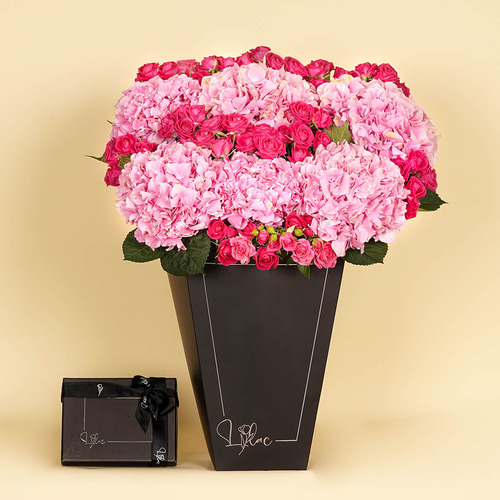 Hydrangea Lovers - Black box contains pink Hydrangea and fuchsia bay rose. Height 60 Width 47