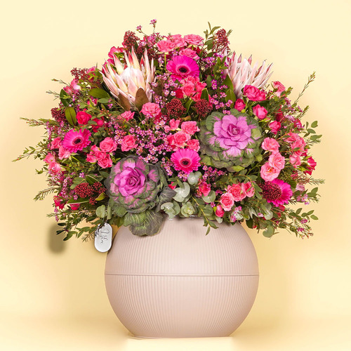 Stylish Spring - Round Vase Contains fuchsia Gerbera, fuchsia baby rose, pink protea, purple brassica, purple wax and red skimmia Height 78 width 73