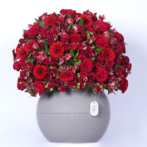 Zoey - Gray round vase contains red Gerbera, red rose, red baby rose and red alstroemeria  Height 68 Width 57