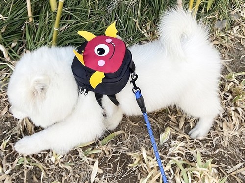 PET BACKPACK BAG WITH LEASH / PS-0040 - COLOR BLACK