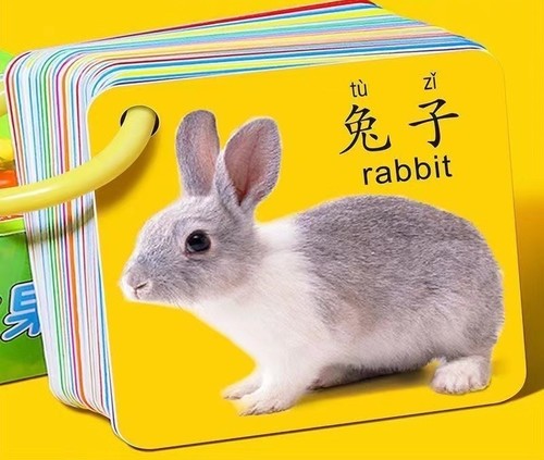 COGNITIVE CARDS / TY-0025 - 90 ANIMAL WORLD