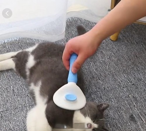 مشط PET / PS-0092 / S367-A - اللون الأزرق