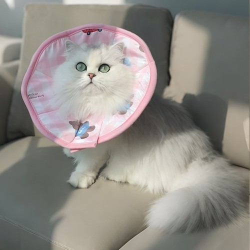 SOFT ELIZABETHAN COLLAR / PS-0111 / S482 - E-collar for cats and dogs Color:pink Size-neck circumference in cm