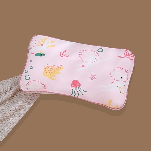 PILLOW CASE / HM-0722/S539 - 2IN1 PACK SIZE:50*30*2-4CM