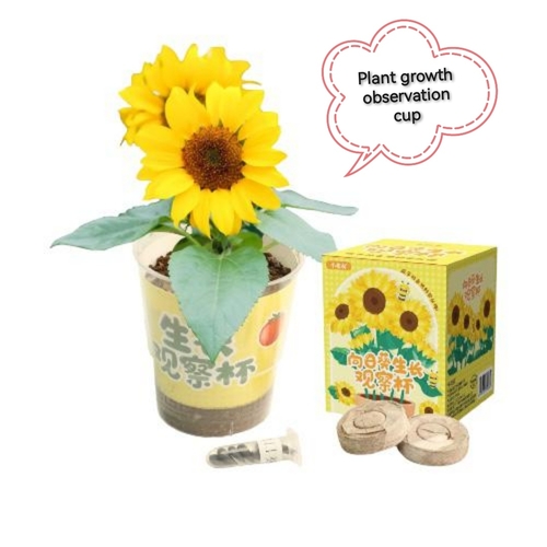 PLANT GROWTH OBSERVATION CUP / U181 - Mini plant observation kit For primary students and kindergartener.