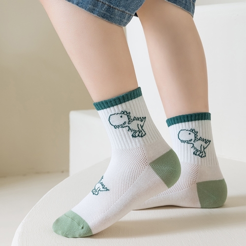 5-PIECE SOCKS FOR BOYS /S918H - 5 pairs in one pack - dinosaur print