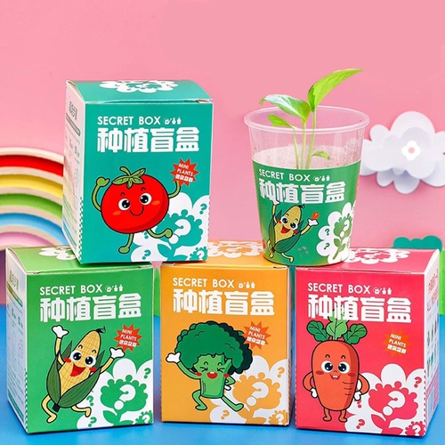 SECRET BOX-PLANT GROWTH OBSERVATION CUP / U296 - Secret box mini plant blind BOXES-DIY planting kits that contain seed for random plant.