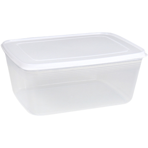2500ML FOOD STORAGE BOX 23.5x16.5x10cm U69 - Plastic food storage box