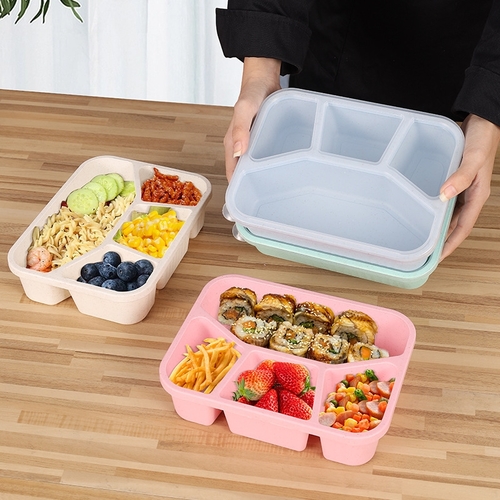 4-PIECE PORTABLE FOOD STORAGE BOX 24x15.5x5.5cm - U47A - Four-compartment lunch box