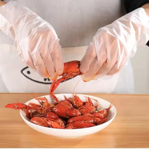 100-PIECE DISPOSABLE VINYL GLOVES / WHITE BOX S873 - 100-PIECE DISPOSABLE VINYL GLOVES / WHITE BOX