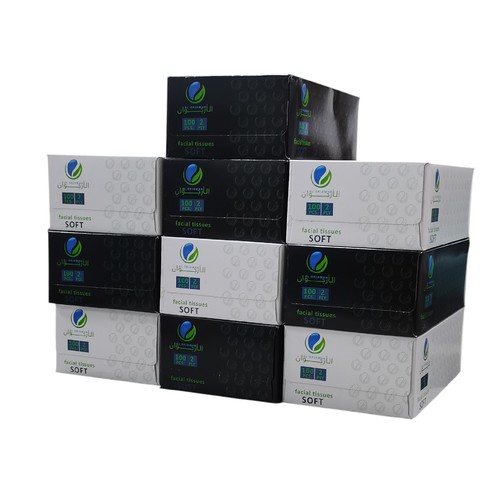 10-PIECE AL ORJAWAN TISSUE BO373 - 100pcs/box 2ply