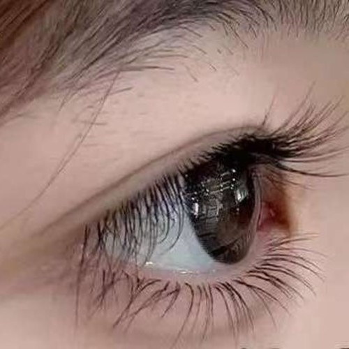 FALSE EYELASHES-STEMLESS MOTHER FISH TAIL U443/S152/S34 - RAW FISHTAIL EYELASHES 10 ROWS OF 120 CLUSTERS&nbsp; STEMLESS AND GLUE-FREE