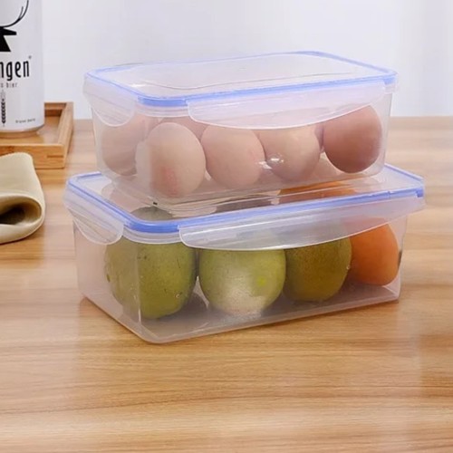 2 PIECE FOOD STORAGE CONTAINER SET U418 - 1pc 24.5x16x9cm + 1pc 21x14x7.5cm