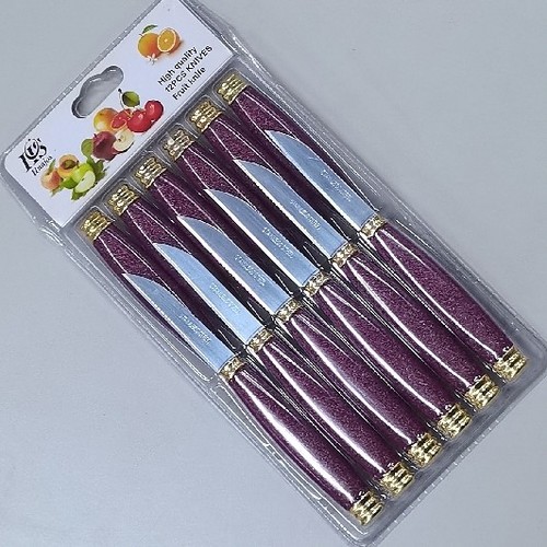 12-PIECE STAINLESS STEEL FRUIT KNIFE BO823 - 12pcs in 1set