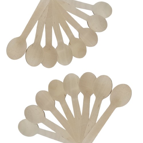 50-PIECE WOODEN TEA SPOON BO854