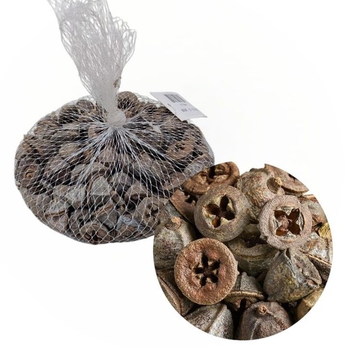 DRIED EUCALYPTUS SEED PODS BO976 - Arts and crafts : they are popular for rustic home decor, wreaths, potpourri, and sensory exploration for children.