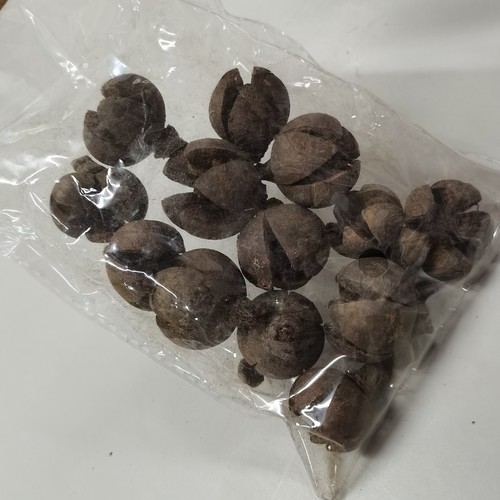 CRAFT ORNAMENT FRUIT 50G BO1042