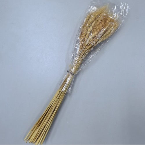 WHEAT DRIED PLANTS BO1094