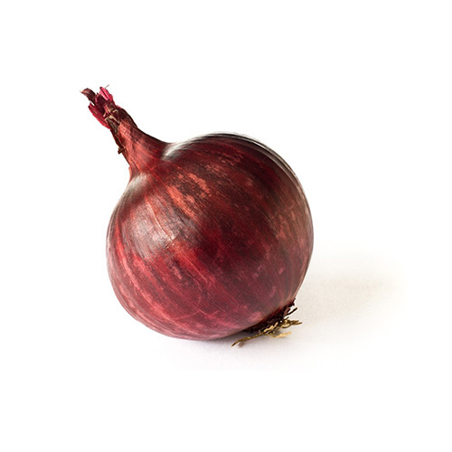 Al Mahharah - Red onion - USA - price per KG