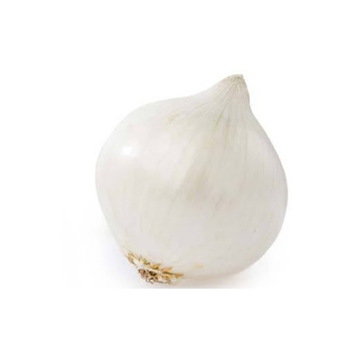 White Onion - USA - price per KG