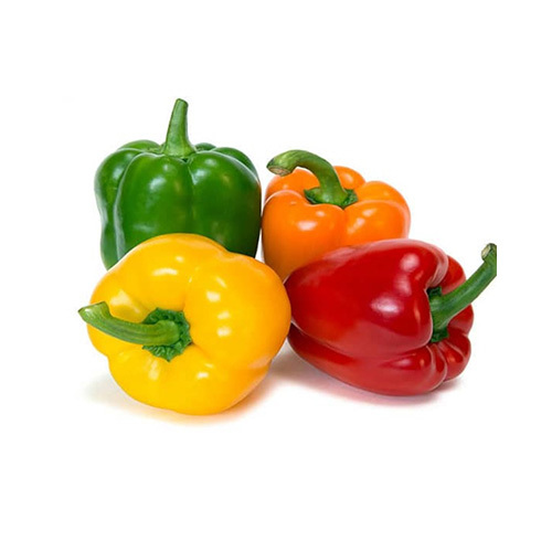 Colored Pepper - Holland - price per KG