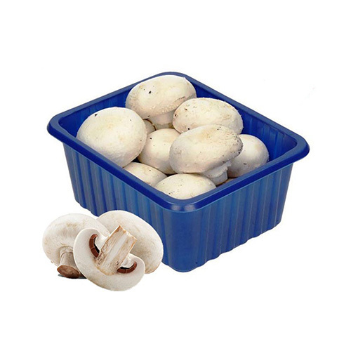 Mushroom - Oman - price per packet