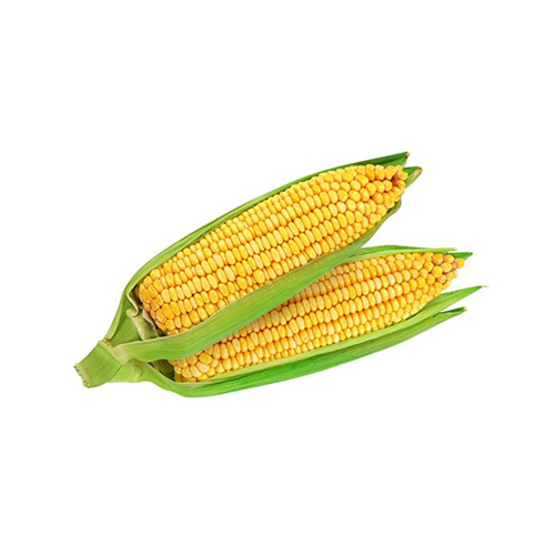 Sweet Corn -Holland - price per packet