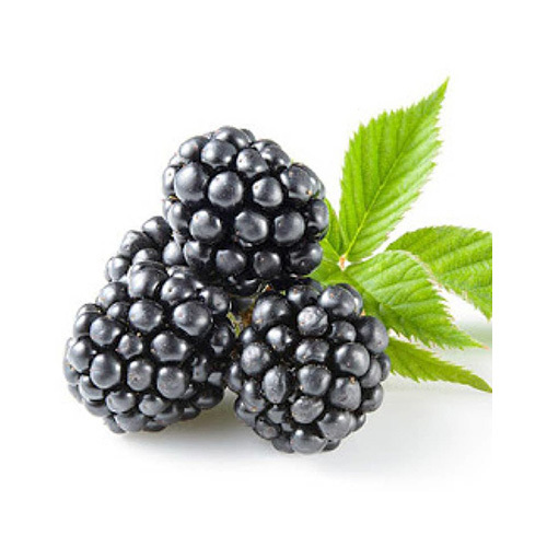 Blackberry - Driscoll's - USA - price per packet