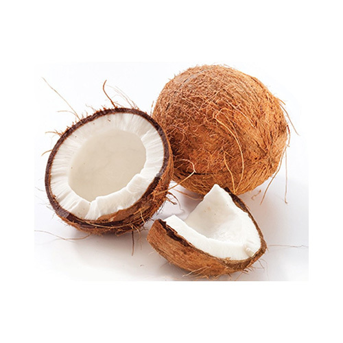 Coconut - India - price per piece